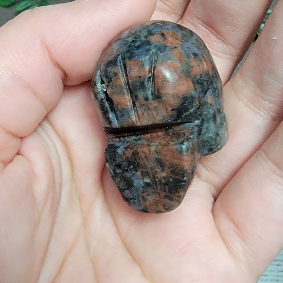 Skull - Picture 6 of 6